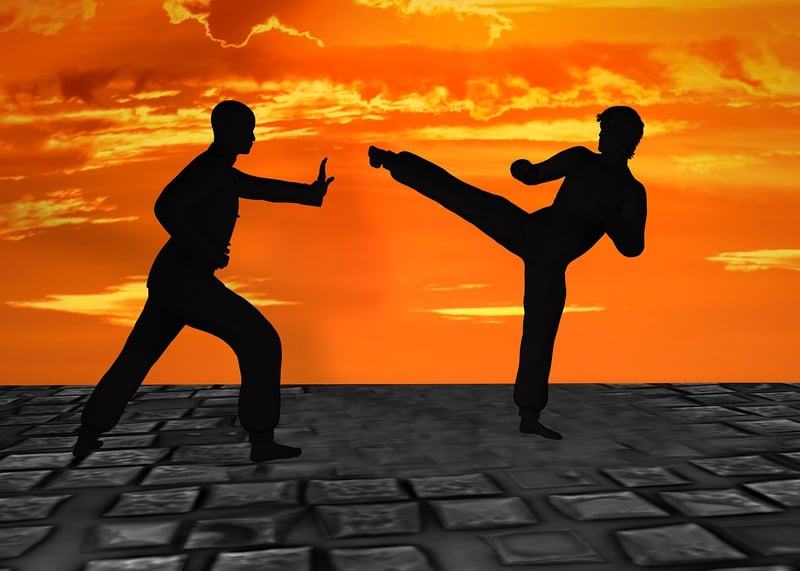 Chen Style Martial Arts